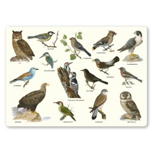 Underlägg Fåglar 42×29