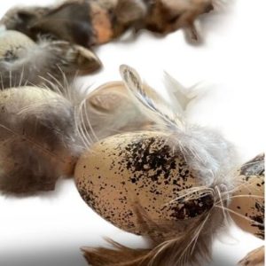 Dekoration Krans med ägg och fjädrar  20 cm