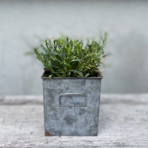 Zinklåda / förvaring / kruka fyrkantig