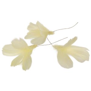 Fjäderblommor ljusgul 12-pack