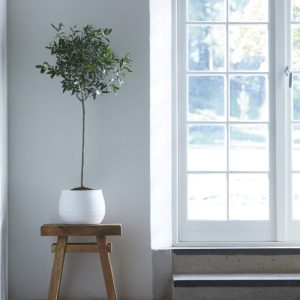 Alba Kruka / Urna vit H 21 cm