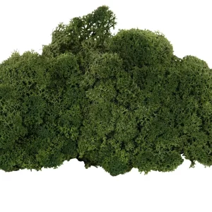 Dekorationsmossa mörkgrön