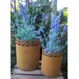 Rostig kruka – Solblomma 2-pack